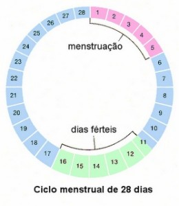 Tabela Menstrual 2013 para imprimir - 2