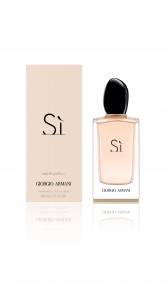 GA_SI_etuit+pack_100ml+fond_B[1]