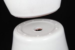 Como Decorar Vasos de Plantas